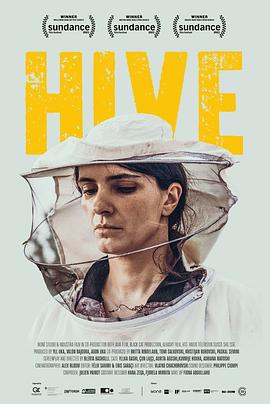 蜂箱 Hive(2021)
