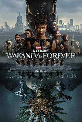 黑豹2 超清 1080P 抢先版 Black Panther: Wakanda Forever(2022)
